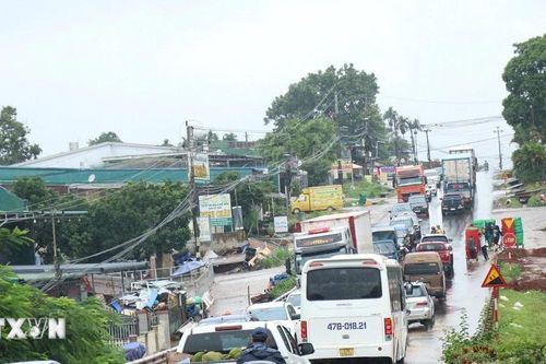 Đắk Lắk: Quốc lộ 26 thường xuyên ùn tắc trong mùa thu hoạch sầu riêng