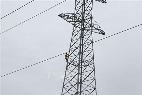 Chấp thuận chủ trương đầu tư dự án đường dây 220kV Phong Thổ - Than Uyên