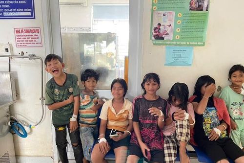 9 học sinh nhập viên do ngộ độc khi ăn thịt cóc