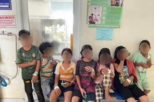 Bắt con vật quen thuộc trong vườn nhà ăn, 9 học sinh phải nhập viện gấp