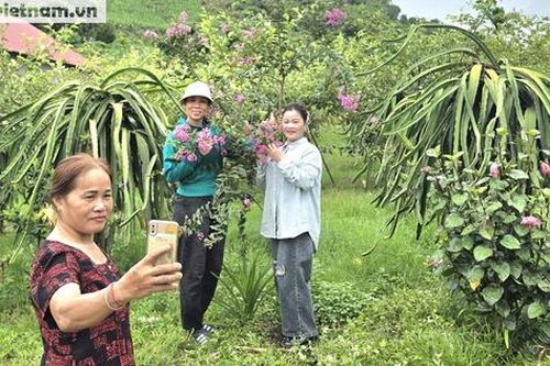 Đưa thôn bản thành miền quê đáng sống từ những đóng góp đơn giản nhất