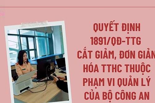Chính phủ quyết định giảm 30% lệ phí đăng ký ô tô và các thủ tục liên quan từ năm 2025