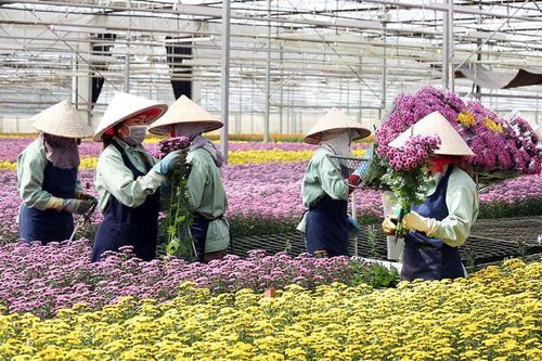Hasfarm Holdings dự chi 4.500 tỷ thâu tóm doanh nghiệp Úc