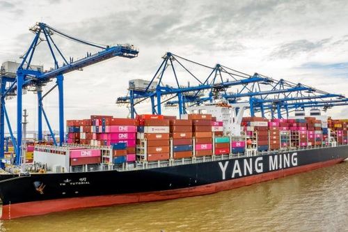 Đơn hàng xuất khẩu tiếp tục giảm vì thuế quan