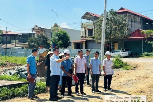 Đẩy nhanh tiến độ các dự án tôn tạo Khu di tích Phủ Trịnh và Khu di tích Lăng miếu Triệu Tường
