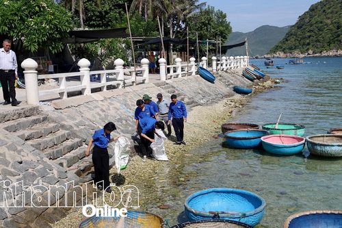 Làng biển Bích Đầm thêm xanh