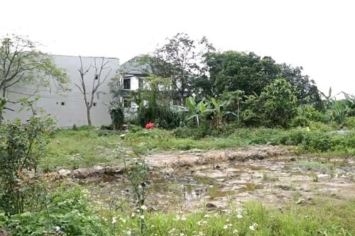 Giải pháp cải tạo, hồi phục những 'vùng đất chết'