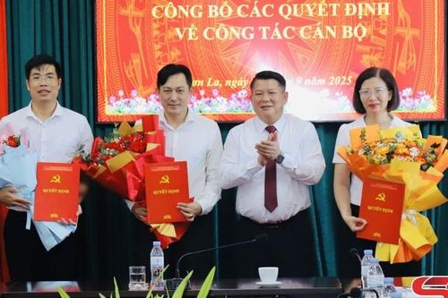 Đảng ủy Các cơ quan Đảng tỉnh công bố các quyết định về công tác cán bộ