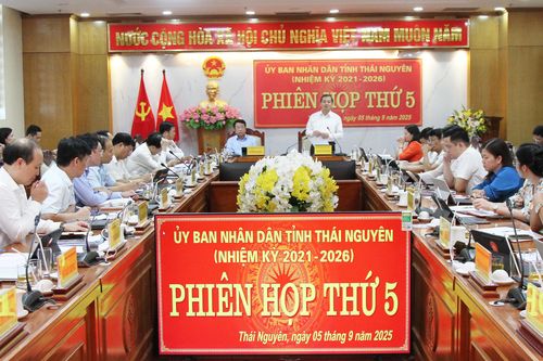 Tập trung thực hiện các giải pháp thúc đẩy tăng trưởng kinh tế