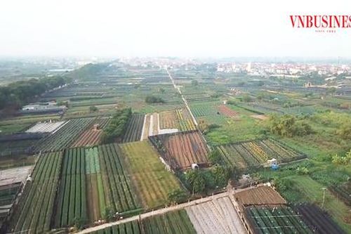Hà Nội giải 'bài toán' khơi thông nguồn lực đất nông nghiệp