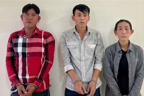 Nhờ chở dùm bao gạo, không ngờ 'rước' trộm vào nhà