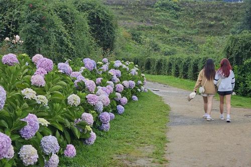 Sa Pa có gì mà đốn tim du khách?
