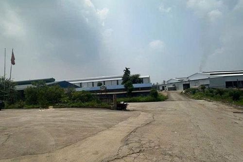 Không có giấy phép môi trường, Hợp tác xã sản xuất giấy Phù Ninh bị phạt 320 triệu đồng