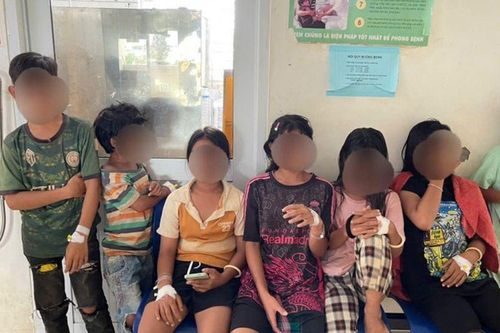 Rủ nhau ăn thịt cóc, 9 học sinh suýt gặp nguy hiểm tính mạng