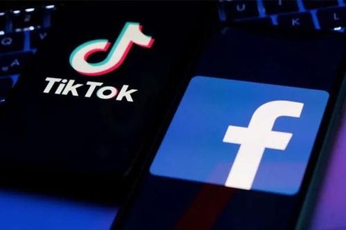Đề xuất quản lý chặt tài khoản TikTok, Facebook để ngăn lừa đảo trên mạng