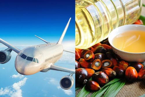 CO₂ thành 'dầu cọ nhân tạo': Nhiên liệu cho ngành hàng không