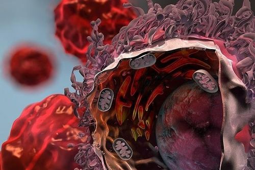 Đối diện ung thư tuổi 26, căn bệnh 'rình rập' nhiều thế hệ
