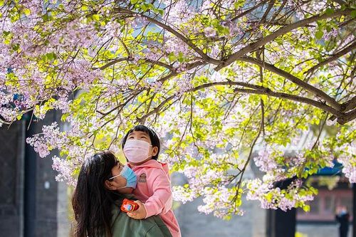 Mẹ đơn thân Trung Quốc hợp lực 'xây tổ ấm'