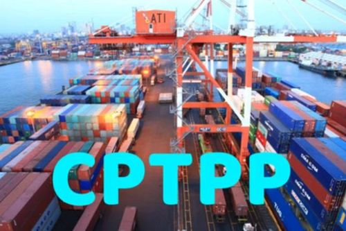 Hàn Quốc coi CPTPP là tấm khiên chắn trước cơn bão thuế quan
