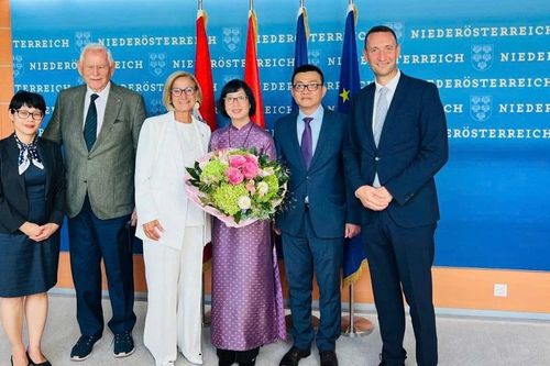 Thúc đẩy đối tác tin cậy, kết nghĩa thực chất với bang Hạ Áo