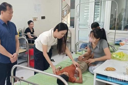 Hưng Yên tăng cường quản lý công tác bán trú tại cơ sở giáo dục phổ thông cấp tiểu học