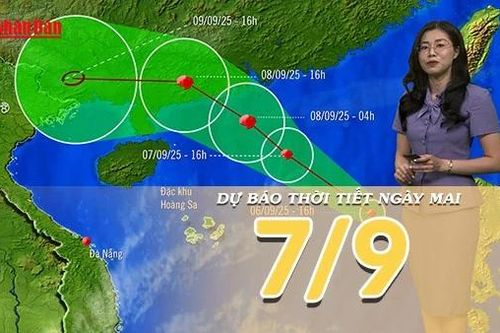 Dự báo thời tiết đêm nay và ngày mai 7/9/2025: Bão số 7 hình thành