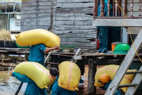 Gia Lai: Mưa lớn, hàng trăm nhà dân bị ngập