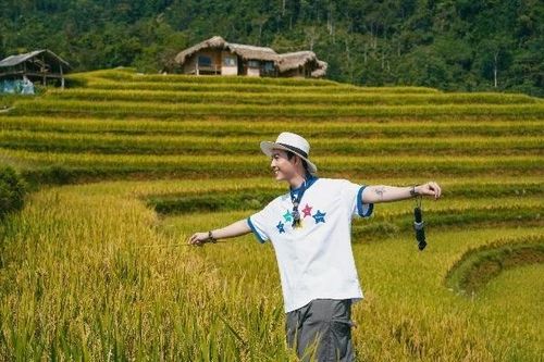 'Săn' mùa vàng Tuyên Quang, chọn tour hay tự túc để trải nghiệm trọn vẹn?
