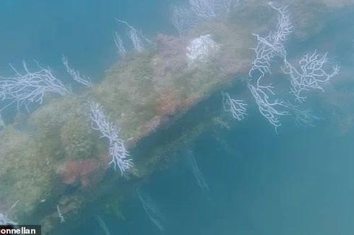 Khám phá gây sốc dưới biển Tây Ban Nha có thể là thủ đô huyền thoại Atlantis
