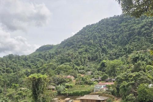Truy tìm đàn sói hoang ở Điện Biên: Sự nhập cuộc chưa hồi kết của cơ quan chức năng