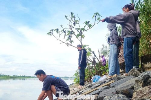 Rằm tháng Bảy, người dân Đà Nẵng đổ ra bờ sông thả hàng trăm kg cá phóng sinh