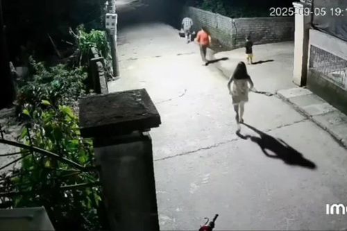 Cậu bé 4 tuổi nhanh trí giải cứu em trai rơi xuống mương nước sâu