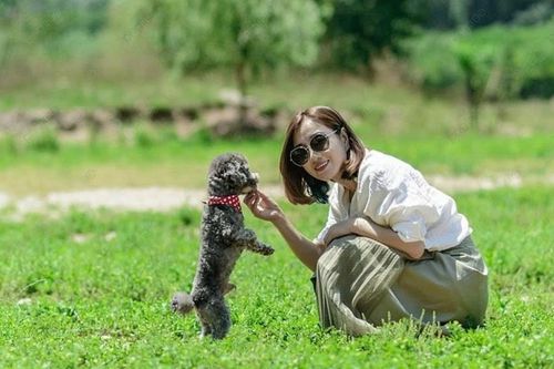Nuôi thú cưng để giảm stress - Tại sao không?