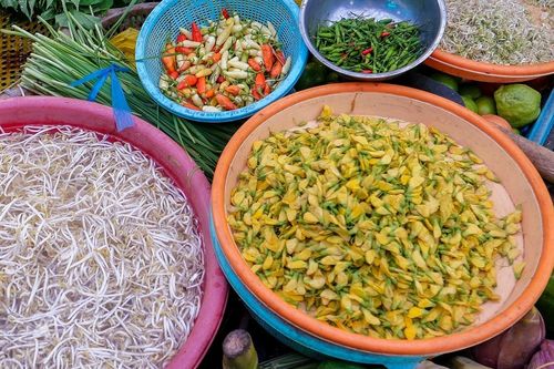 Đặc sản miền Tây mùa nước nổi, bà con soi đèn hái trong đêm, nấu lẩu thơm ngon