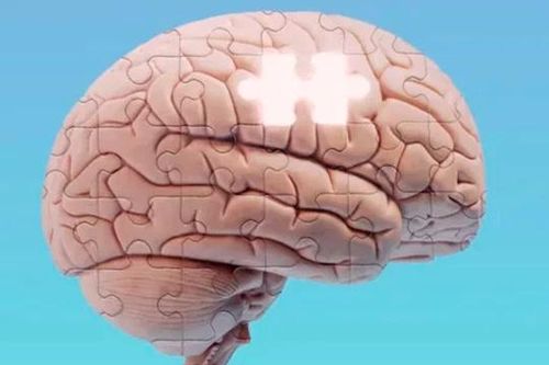 Bộ não con người có thể bị 'hết dung lượng' trí nhớ hay không?