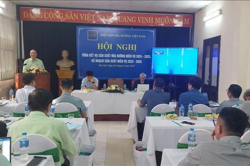 Năng suất đường Việt Nam tiếp tục dẫn đầu khu vực