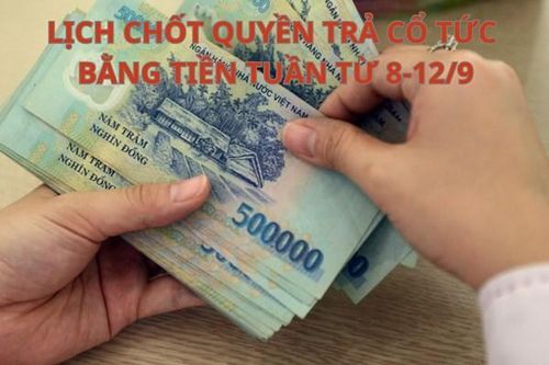 Lịch chốt quyền trả cổ tức bằng tiền tuần tới (từ 8-12/9): PMC trả cổ tức cao nhất 38,68%