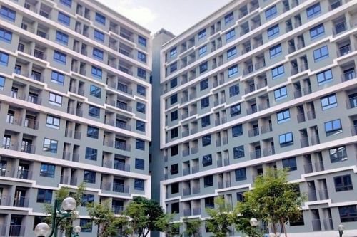 Trình Chính phủ dự thảo Nghị định quy định về Quỹ nhà ở quốc gia trước ngày 15/9