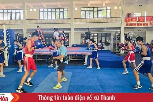 Bộ môn boxing nỗ lực vươn xa
