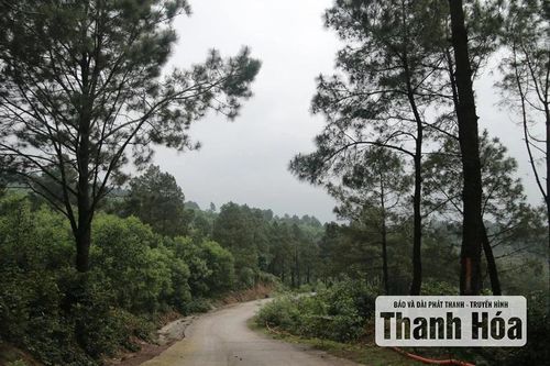 Dẫn lối về miền văn hóa - tâm linh