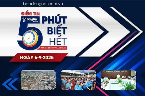 Điểm tin '5 phút biết hết' sáng 6-9: Đồng Nai cử 95 cán bộ Văn phòng Đăng ký đất đai tỉnh về hỗ trợ xã, phường