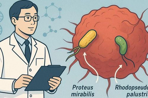 Nhật Bản nghiên cứu thành công 'liệu pháp AUN' điều trị ung thư