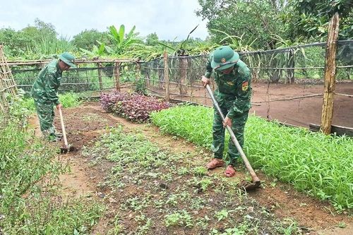 Đồn Biên phòng Ia Nan đồng hành cùng địa phương phát triển kinh tế-xã hội