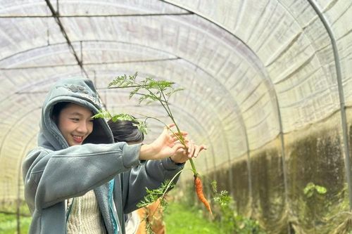 Du lịch canh nông - lợi ích kép cho nông dân