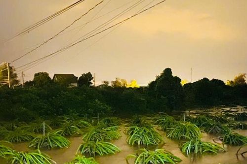 Thêm nhiều địa phương bị ảnh hưởng do mưa lũ, ước thiệt hại 13,4 tỷ đồng