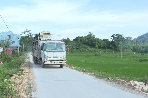 Đầu tư hạ tầng thiết yếu vùng dân tộc thiểu số