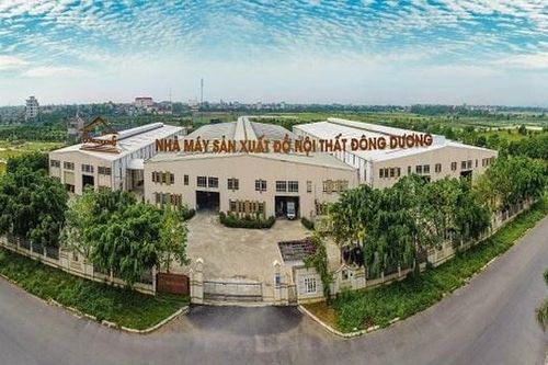 Công ty Thương mại và Xây dựng Đông Dương (DDB) bị phạt do công bố thông tin chậm và sai lệch kết quả lợi nhuận