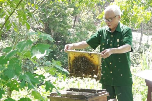 Thu nhập 200 triệu đồng từ mô hình kinh tế tổng hợp