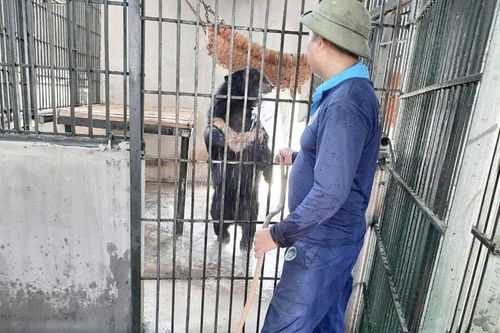 Trung tâm Cứu hộ động vật hoang dã Hà Nội:Nỗ lực bảo tồn đa dạng sinh học