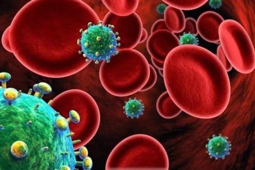 Vai trò của tế bào CD4 trong cơ thể và tác động của HIV